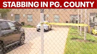 3 stabbed in road rage incident in Prince George's County | FOX 5 DC
