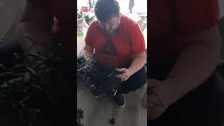 how too untangle christmas lights