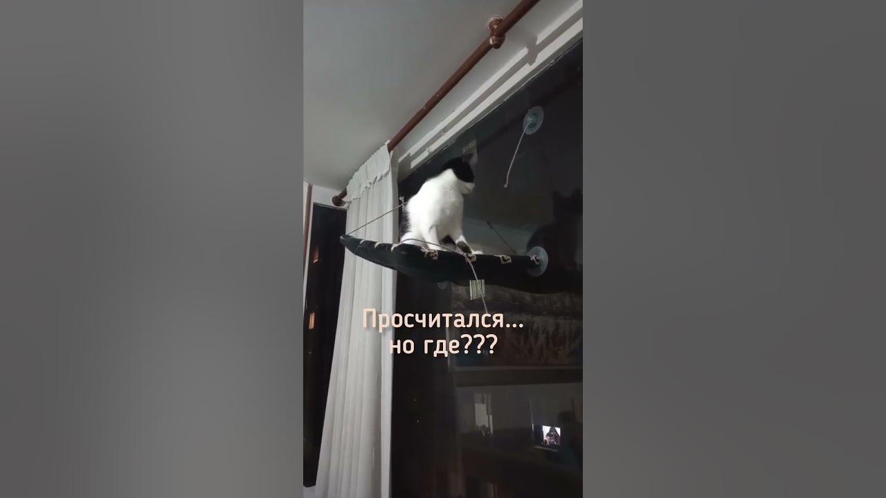 Просчитался.... но где??? - YouTube