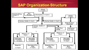 Class 2: SAP MM Organization Structure Introduction