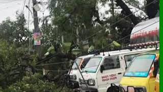 Gaja Cyclone Effects..delta Districts Lost Their Lifes..pls Save Delta..