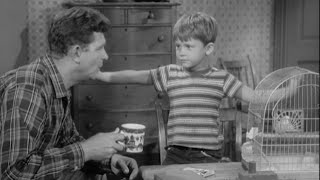 Andy Griffith Show sponsors highlights EP #1