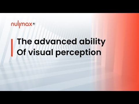 Perception Capability Comprehensive visual perception capability - YouTube