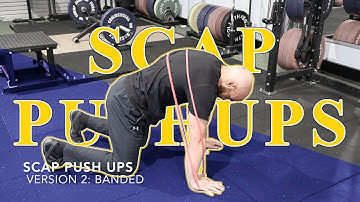 Scap (Scapula) Push Ups - Tutorial
