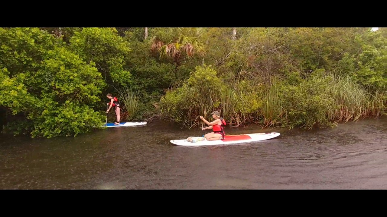 Weeki Wachee boat tour YouTube