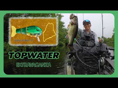Best Day of Topwater - WakeWalker LT - 8/24/26