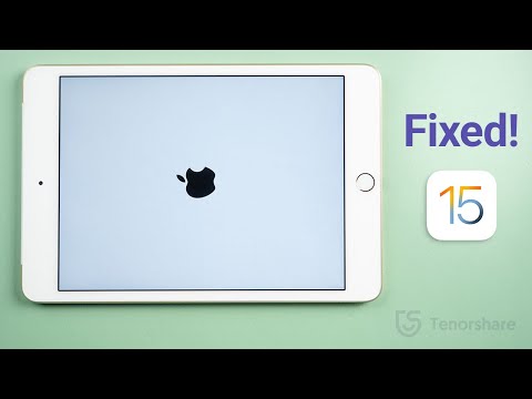 iPad Stuck on Apple Logo/Boot Loop? Here Is the Fix! (No Data Loss)