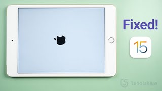 iPad Stuck on Apple Logo/Boot Loop? Here Is the Fix! (No Data Loss)