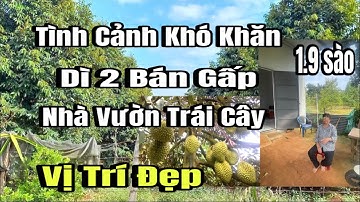 Dì 2 tình cảnh khó khăn, nhà gấp nhà vườn trái cây, gần lộ nhựa, Huyện cẩm Mỹ cũ, Đồng Nai