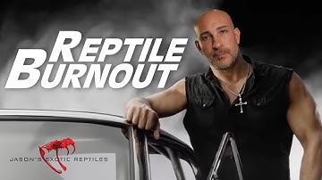 Burnout Is Real... And No One Talks About It in the Reptile Hobby