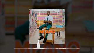 Founder TZ - Mfano (Official Audio)