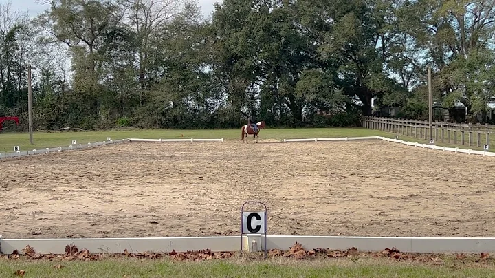 Kristen Schmidt Unbridled Aurora WD Level 1 Test 2