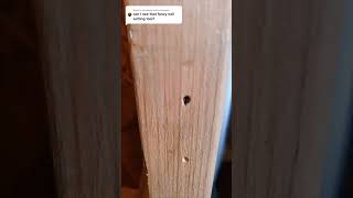 Nail Setting Tool