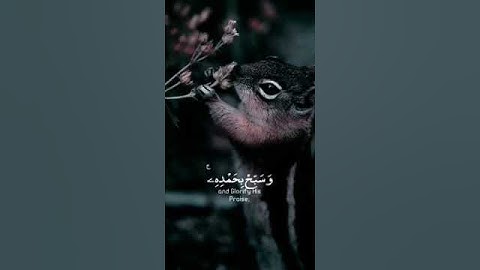 قرآن كريم بصوت هادىء وجميل #تلاوة_خاشعة #قرآن