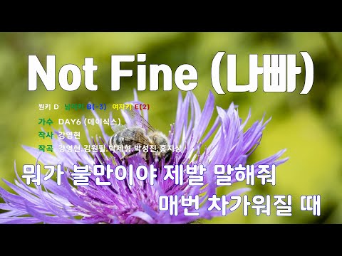[은성 반주기] Not Fine(나빠) - DAY6(데이식스)