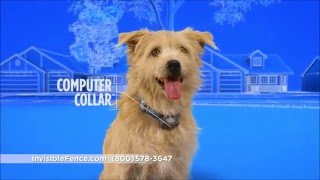 invisible fence micro shield