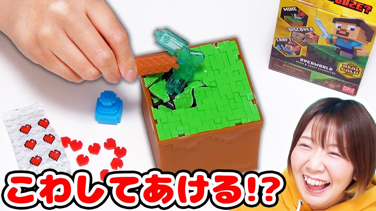 こわせ ほれ さがせ お水で組み立てろ 海外のマインクラフトのサプライズトイが面白すぎた サブ のってんプチ