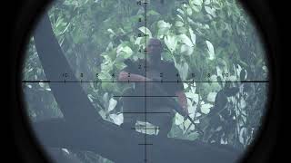 B-20241015-YHY-GhostShooting-RainForestKiller-1280-720-Produce4.mp4 screenshot 4