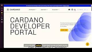 Cardano Developer Portal