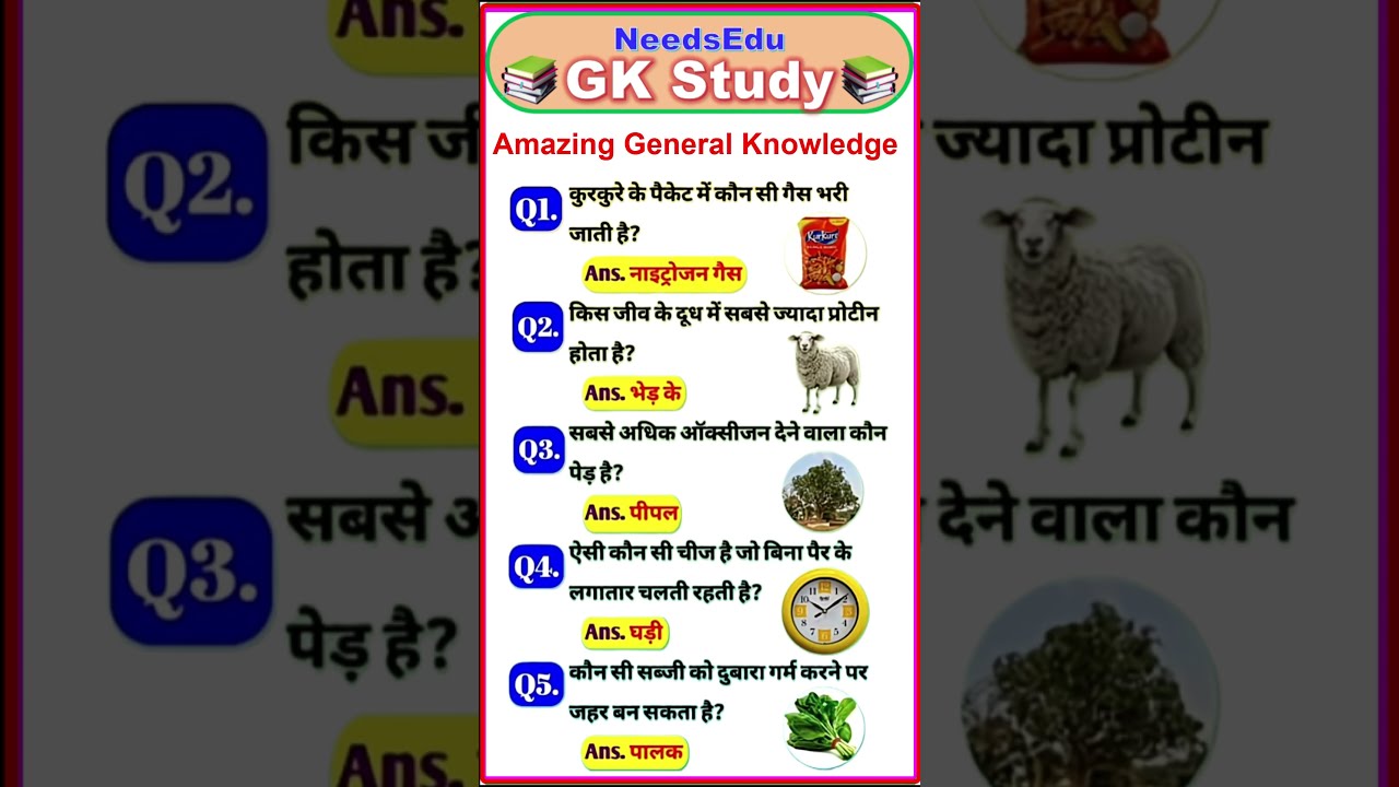 Top GK Questions Amazing General Knowledge Question Shorts Gkfacts Gk Viral