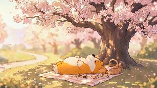 Spring Picnic with Corgi 🌼 [ASMR Animation]