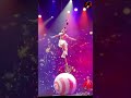 Impossible🔥 Crazy Circus Balance Show in one wheel 🤯 That Shocked Everyone! #shortsfeed #circusstunt