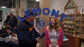 Ice & Lights Fest | Lemont Unlocked