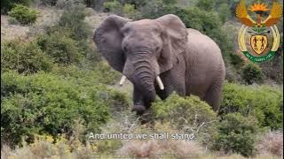 National Anthem of South Africa: Nkosi Sikelel' iAfrika / Die Stem van Suid-Afrika