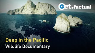 Big Pacific - Mysterious | Full Nature Documentary