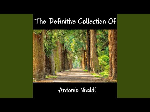 Concerto For Viola D´amore And Lute In D Minor, RV 540 III- Allegro