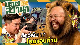 วางฮิปโปลงก่อน แล้วหยิบหมูเด้ง screenshot 1