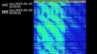 The Buzzer/UVB-76(4625Khz) April 2nd, 2023 12:54UTC Voice message