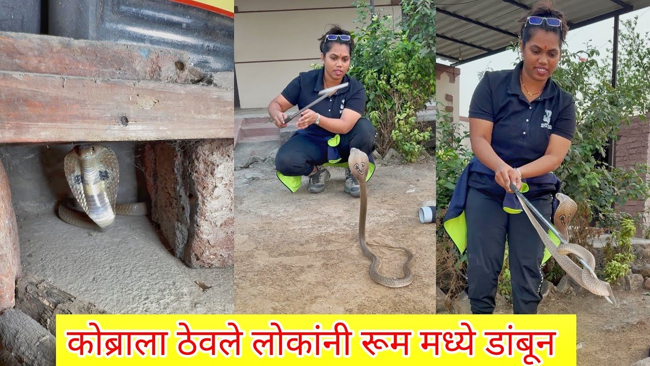 😱😱बापरे नागाला ठेवले मावशीने रूम मध्ये डांबून 😳😳