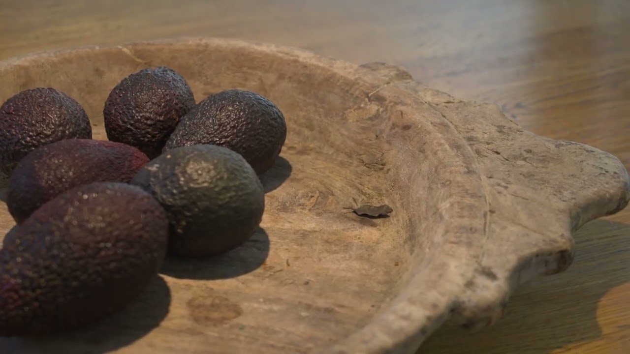 44 Fifteenth Avenue, Palm Beach - Proudly Presented by Noel Mills PRD Palm Beach