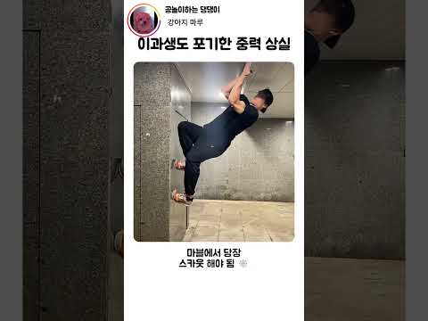 뉴턴 오열하게 만드는 현실판 스파이더맨 ㄷㄷ#spiderman #parkour thumbnail