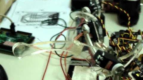 FEI - Hexapod Walking Robot