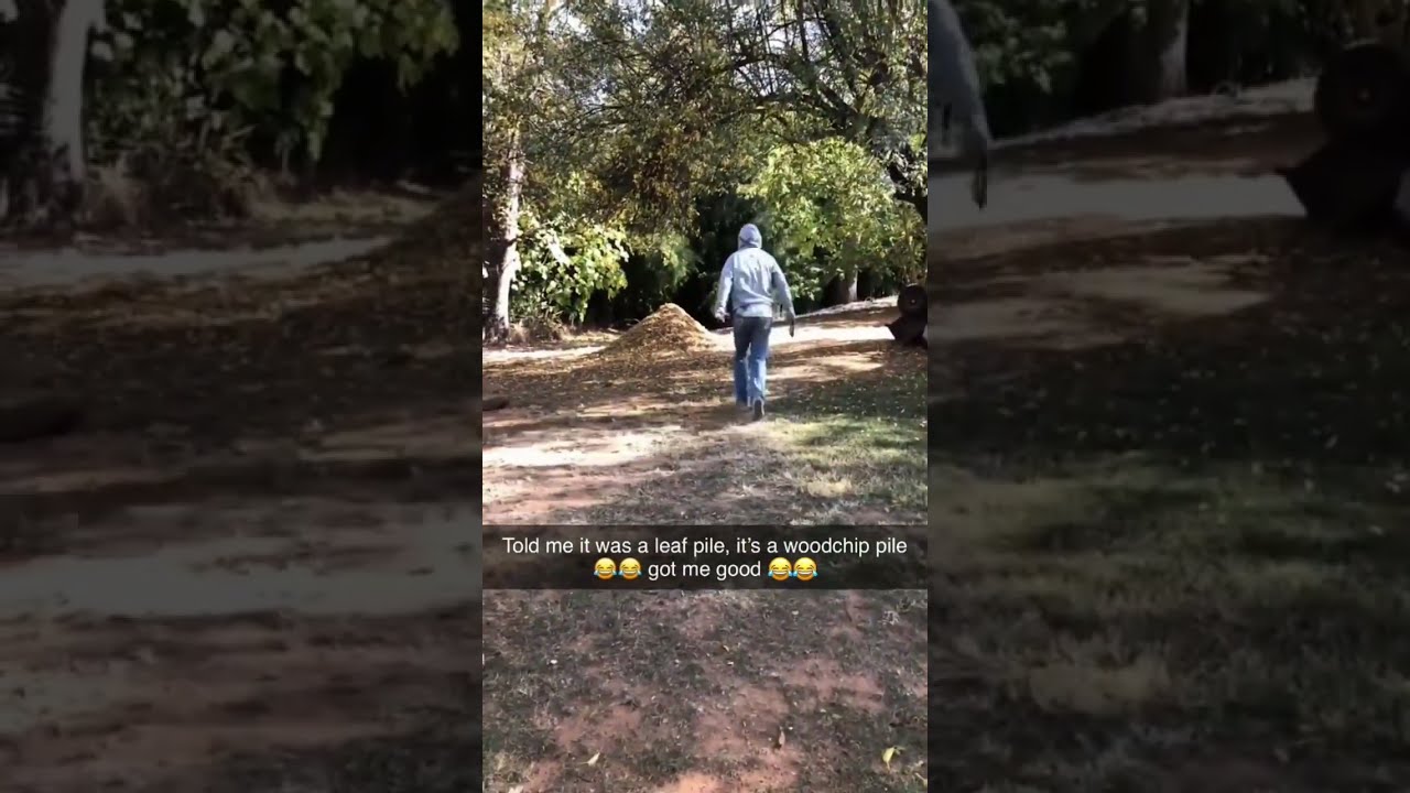 THE LANDING WAS NOT WHAT HE EXPECTED 