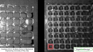 PeptiGelDesign Hydrogels For Additive Manufacturing