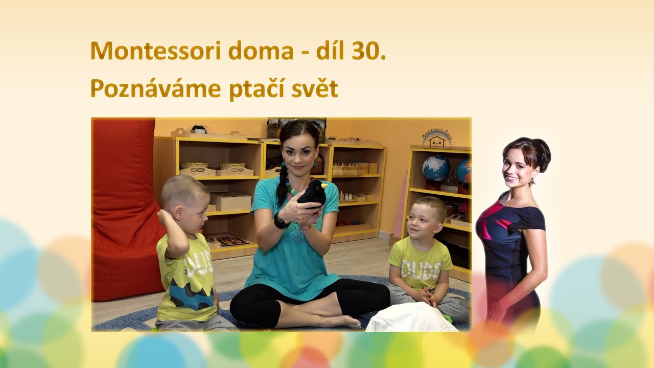 Montessori doma - díl 30: Poznáváme ptačí svět