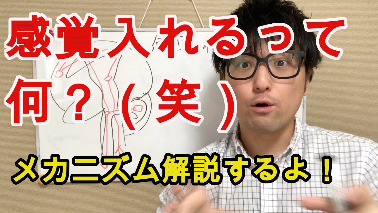 感覚入力のメカニズムを解説！　【リハビリ　歩行　感覚障害】