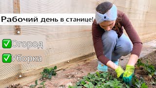 видео: Приехала ПОМОЧЬ БАБУШКЕ! Что стало с ОГОРОДОМ и ДОМОМ? ПОЧИНИЛИ МАШИНУ БЕЗ МАСТЕРА какие у нас планы картинка: Приехала ПОМОЧЬ БАБУШКЕ! Что стало с ОГОРОДОМ и ДОМОМ? ПОЧИНИЛИ МАШИНУ БЕЗ МАСТЕРА какие у нас планы