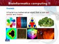 BIF602 Bioinformatics Computing II Lecture No 33