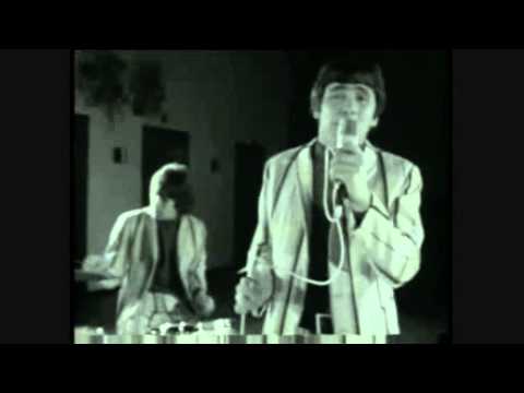 The Troggs - Can I Dance With You