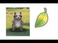 3 Cara Dapetin RACCOON LEAF | Ragnarok Mobile Eternal Love