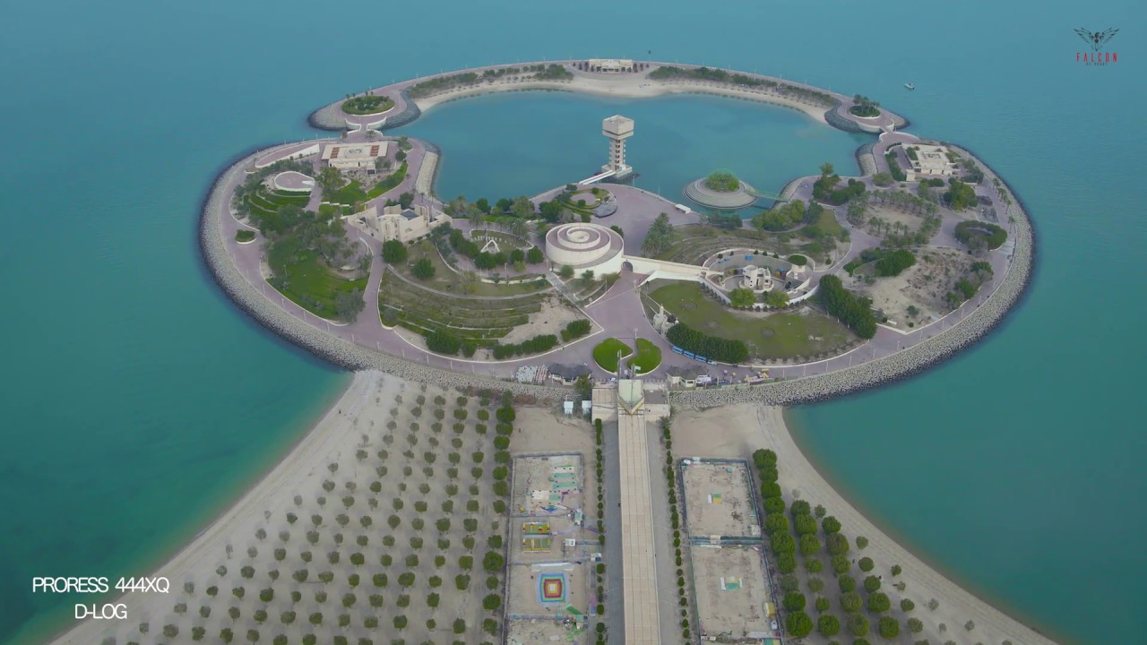 INSPIRE 2 X5s CINESSD Proress 444XQ D-LOG coloring Test