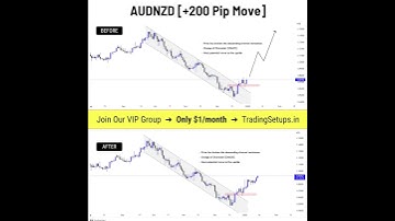 AUDNZD Trade Setup Before/After [+200 Pip Move] | #shorts #audnzd