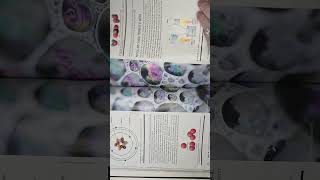 Milady FOUNDATIONS Chapter 6 Chemistry Chemical Safety Pages 153-160 Esthetician Nails Cosmetology