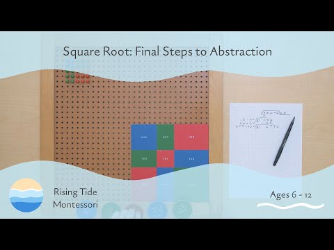 Square Root: Final Steps to Abstraction