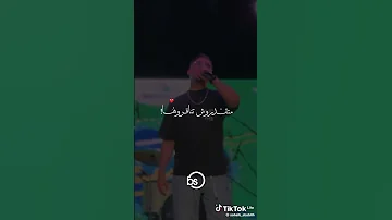 شيرة عالي نيفوها 