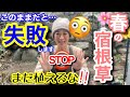 【まだ植えるな🖐️🚫】春の宿根草、今植えると失敗します😳庭が整っていない人は要注意‼️植え付け前に必ずやる4つの作業/ 〇〇で新規苗をうまく育てられる🤗【ガーデニング】